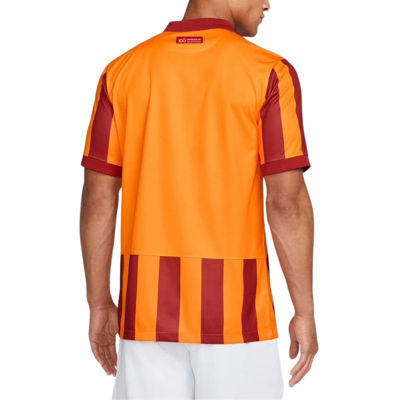 Galatasaray Third Jersey 2023/2024